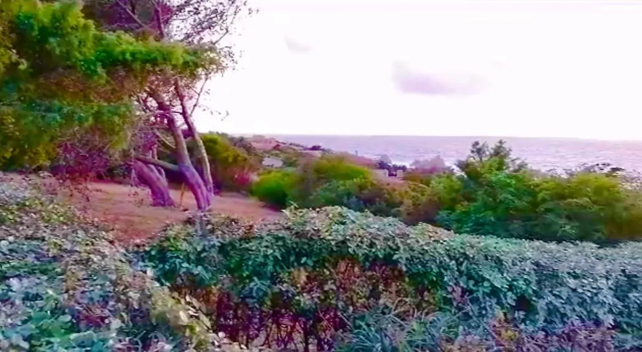 Casa vacanze Villetta Dei Ginepri Costa Paradiso